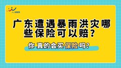 广东遭遇暴雨洪灾哪些保险可以赔？